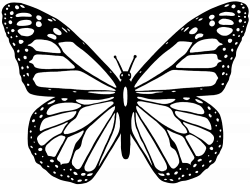OnlineLabels Clip Art - Black And White Butterfly