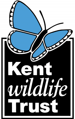Home | Kent Wildlife Trust