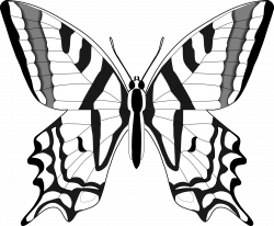Butterfly Clip Art Black and White   Clipart Free Download ...