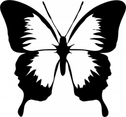 Black And White Butterfly Clip Art at Clker.com - vector clip art ...