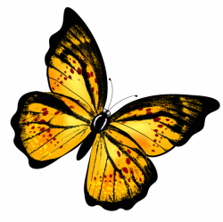 Yellow Transparent Butterfly PNG Clipart Picture | Mariposas ...