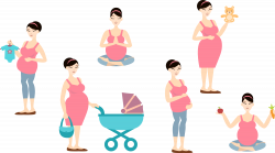 Mother Woman Clip art - Pregnant mother with children 5375*2990 ...