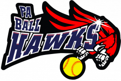 BH Board of Directors Seeks New Candidates The PA Ball Hawks ...