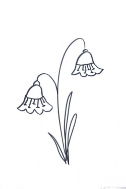 Lettering- Line drawing- Motivation: How to draw flowers 15 ...