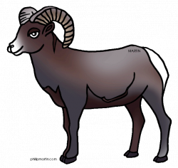 Rocky mountain sheep clipart - Clipground