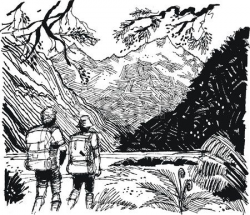 Stock Vector | Al's New Zealand sketches in 2019 ...