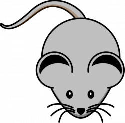 Grey Mouse Clip Art at Clker.com - vector clip art online, royalty ...