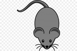 Cat Cartoon clipart - Mouse, Rat, Nose, transparent clip art
