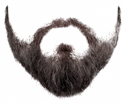 Beard Clip art - beard and moustache 678*559 transprent Png Free ...