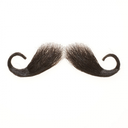 Free Realistic Mustache Png, Download Free Clip Art, Free ...