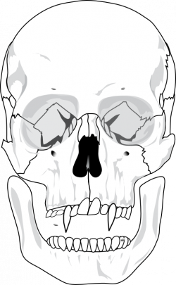 Evil Skull Clipart | i2Clipart - Royalty Free Public Domain Clipart
