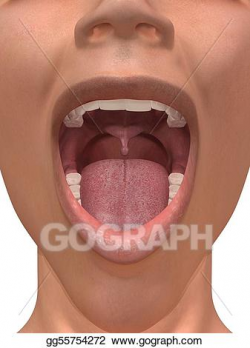 Drawing - Human mouth . Clipart Drawing gg55754272 - GoGraph