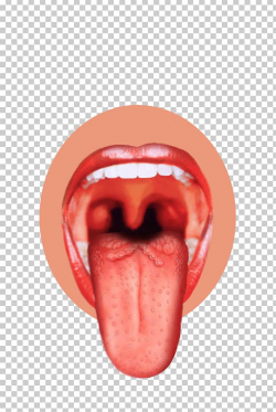 Tongue Sense Sensory Nervous System Taste Bud Human Mouth ...