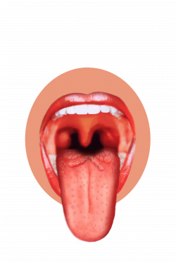 Human Tongue PNG Image - PurePNG | Free transparent CC0 PNG Image ...