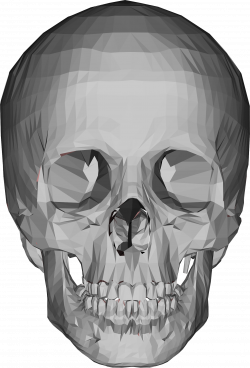 Clipart - 3D Low Poly Skull