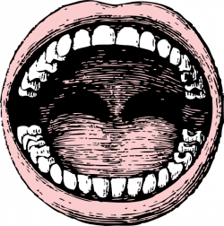 Open Mouth Clip Art at Clker.com - vector clip art online, royalty ...