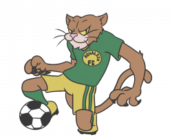 Schalick Boys Soccer Team – Cougar Kicks