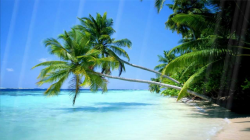 Free Animated Beach, Download Free Clip Art, Free Clip Art ...