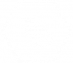 IP cameras - IP security cameras