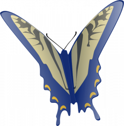 Butterfly Clip Art at Clker.com - vector clip art online, royalty ...