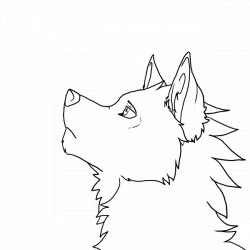 Wolf Fenix Animation WIP by Fenix-W on DeviantArt
