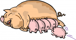Free Pig Cartoon Images, Download Free Clip Art, Free Clip ...