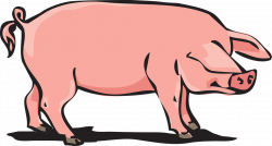 Collection of Pig In Mud Clipart | Buy any image and use it for free ...