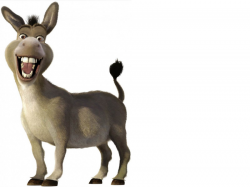 Download Free png pin Mule clipart shrek donkey - DLPNG.com