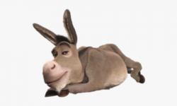 Mule Clipart Dunkey - Donkey From Shrek Laying Down ...