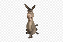Donkey Princess Fiona Shrek Computer Icons Clip art - donkey