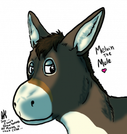 Melvin The Mule... :FA: by SpiritInSpace on DeviantArt