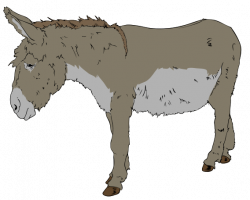mule clipart - Google Search | CLIP ART FOR ANIMATED BIBLE ...