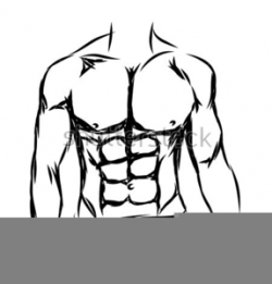 Six Pack Abs Clipart | Free Images at Clker.com - vector ...