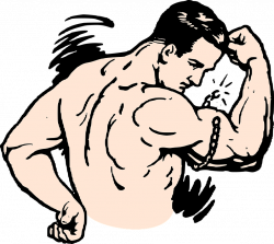 28+ Collection of Muscle Clipart Transparent | High quality, free ...