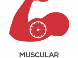 Muscular Endurance Cliparts 2 - 1024 X 768 | carwad.net