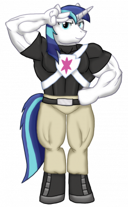 My Muscle Pony Collab - Shining Armor by advanceddefense -- Fur ...