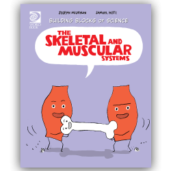 Skeletal and Muscular Systems | World Book