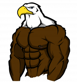 Muscle Bird of Prey — Weasyl