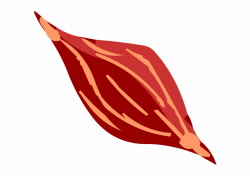 Muscles - Muscle Cell Icon, Transparent Png Download For ...