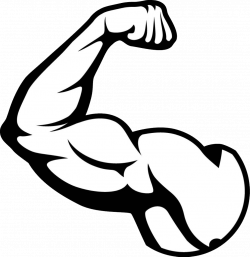 Free Muscle Arm Png, Download Free Clip Art, Free Clip Art ...