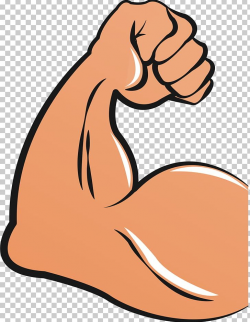 Biceps Arm Muscle PNG, Clipart, Area, Arm, Artwork, Biceps ...