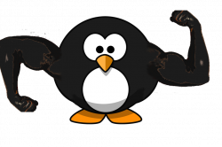 Muscle Penguin by stormingpenguin on DeviantArt