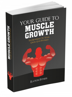 Your Guide To Muscle Growth