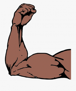 Muscle Clipart Arm Strength - Drawing Of Buff Arms #917670 ...