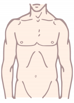 File:Pioneer plaque man upper body as diagram template colour.svg ...