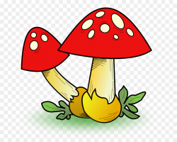 Edible mushroom Clip art - Mushroom Cliparts png download - 755*709 ...