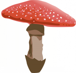 Red Topped Mushroom Clip Art at Clker.com - vector clip art online ...