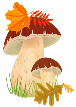 Fall Mushrooms PNG Clipart Picture | Gallery Yopriceville - High ...