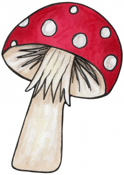 Mushroom for an echanted woodlands party | Woodlands | Pinterest ...
