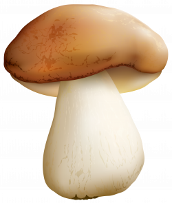 Mushroom PNG Clipart Image | Gallery Yopriceville - High-Quality ...